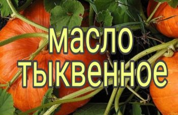 Продам тыквенное масло, Харьков