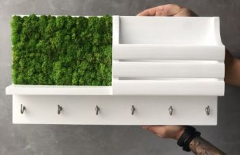 Ключница настенная дерево и стабилизированый мох MiNature Moss, Ровно