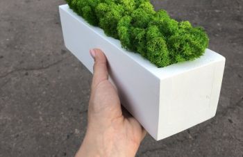 Деревяное кашпо со стабилизированым мхом 30 см MiNature Moss, Ровно