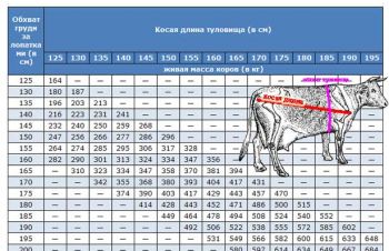 Куплю. корови в Добровеличківському і сусідніх районах бики до 39 корови до 29, Кропивницкий