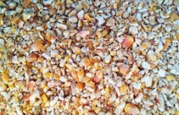 Нужна кукуруза и ее отходы в больших объемах, Чернигов