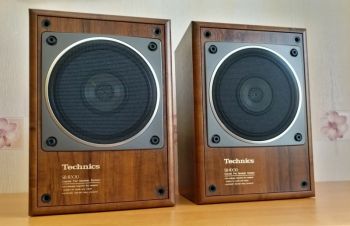 Technics SB-RX30, Днепр