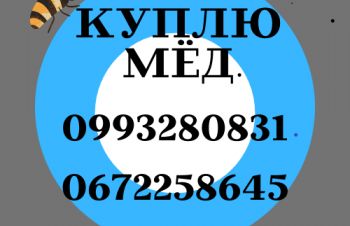 ЭКОМЕД. Закупаем мед с подсолнуха по Запорожской области и всей территории Украины