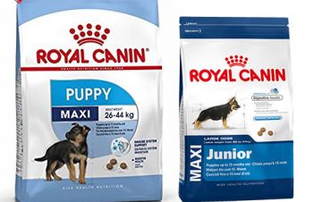 Royal Canin Maxi Junior корм для щенят крупных пород Макси Юниор Роял Канин Maxi Pappy, Киев