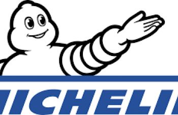 Шина 460/70R24 Michelin BIBLOAD H/S (159A8/B, TL) (маниту, Киев