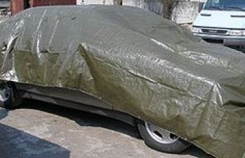 Тент водостойкий tarpaulin fortex 8х12 м., 100 г/м2. армированный с люверсами, Киев