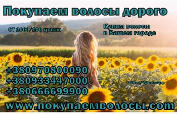 Продать волосы в Одессе дорого Купим волосы дороже всех