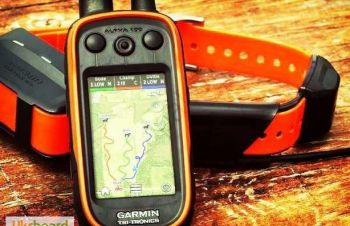 Garmin Alpha, Astro. Прошивка, разблокировка, карты. Удаленно, Киев