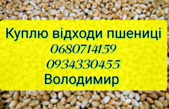 Закуповуємо відходи пшениці по всій Україні, Васильков