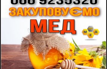 Закупаем мед. Выгодно. Круглый год. ОПТ-МЕД, Кировоградская обл.