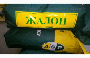 Насіння соняшника Жалон купити / Семена подсолнечника Жалон, Киев