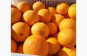 Апельсин оптом и в розницу, Николаев