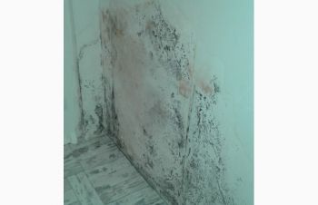 Дезинфекция ванных комнат. Стерилизация сан.узлов, Киев