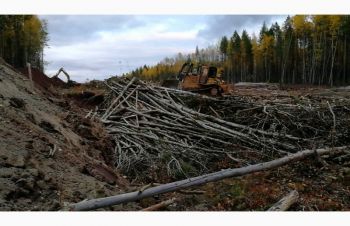 Розліснення великих земельних ділянок. Безкоштовно, Киевская обл.