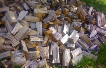 Продам дубовые дрова от производителя, Житомир