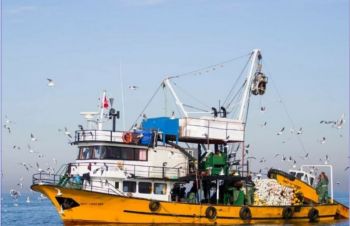 Fish trawler for mauritania, Одесса
