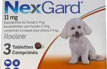 Жевательные таблетки Merial Nexgard (Нексгард) для собак 2-4 кг, Киев