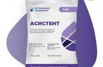 Інсектицид Асистент, ВП (ацетаміприд, 200г/кг) АХТ, Днепр