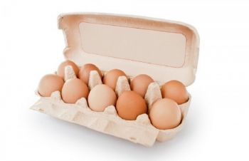 Купить оптом свежие куриные яйца в Днепре