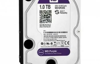 Жесткий диск Western Digital Purple 1TB 64MB 5400rpm WD10PURX 3.5 SATA III, Киев