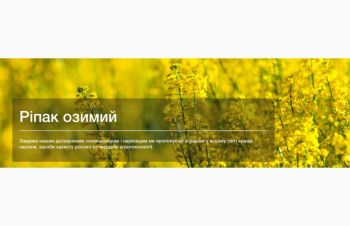 Насіння озимого ріпаку гібрид Синтетик 32 &mdash; 38 ц/га, ТМ &laquo;Рапсоїл&raquo;, Україна, Киев