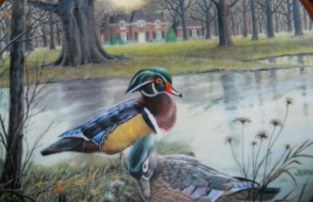 The Wood Duck&raquo; &mdash; коллекционное, настенное блюдо, Болград