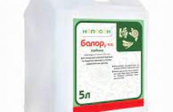 Гербіцид Балор, к.е (хізалофоп-п-етил, 125 г/л) Нопосон, Кропивницкий