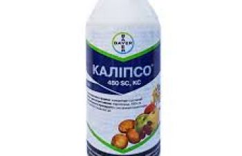 Інсектицид Каліпсо (тіаклоприд, 480 г/л) Bayer, Кропивницкий