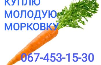 Куплю молодую морковку, Днепропетровская обл.