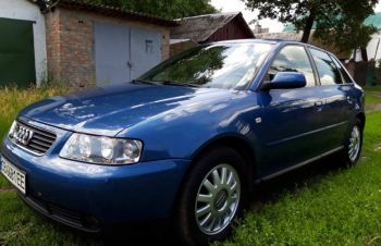 Audi A4, Нежин