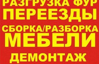 Предоставим Бригаду с 35 человек грузчики демонтажники подсобники мастера, Киев