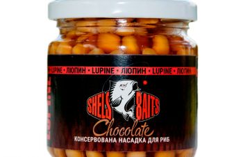 Shels Baits Люпин для карповых, Киев