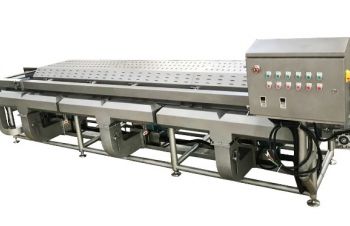 Машина для сушки овощей, фруктов, зелени, ягод Vega Drying Conveyor Pro Vibro 4000/80, Киев