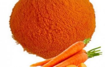 Продам морквяний порошок, Ивано-Франковск