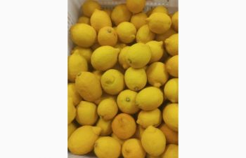 Продам лимоны Турция, Мерсин, Киев