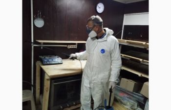 Травить тараканов Черноморск. Служба по борьбе с тараканами