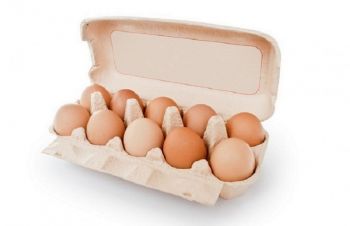 Купить яйцо куриное продовольственное Днепр