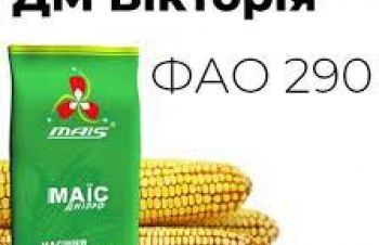 Насіння кукурудзи ДМ Вікторія ФАО 290 Маїс Дніпро, Кропивницкий