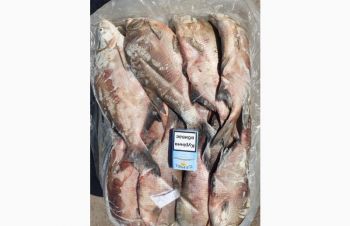Продам свежемороженую рыбу &ndash; лещ, лещ мелкий. Опт, Светловодск