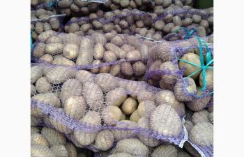 Продам картофель, Киев