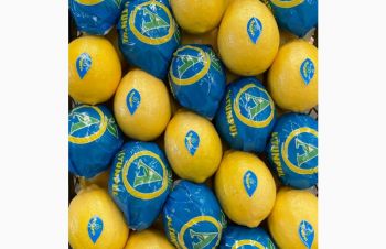 Прямые продажи Лимонов из Турции, Киев