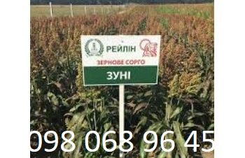 Продам семена Сорго зерновое Зуні, Днепр