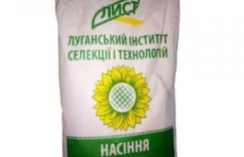 Продам семена подсолнечника Сулико 50, 110-115 дней, Синельниково