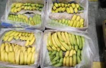 Купимо зелені банани від 20 тон, Львов