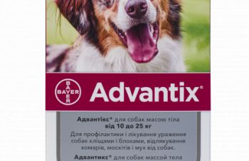 Bayer Advantix (Адвантикс) краплі на холку для собак 10-25 кг, Киев