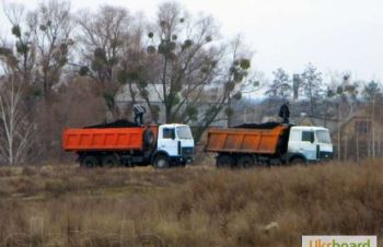 Вывоз мусора, грунта, грузчики, демонтаж, Борисполь