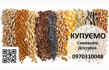 Купуємо зернові та масляні культури, Кировоградская обл.