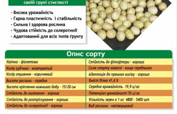 Насіння сої сорт Кофу 95 днів &mdash; соя Kofu SynAgri, Канада, Кропивницкий