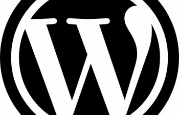 Wordpress. Изготовление, установка, Сумская обл.