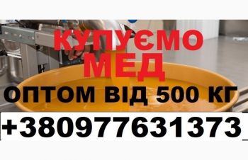 Закупка меду від 550 кг. По Дніпропетровській і сусідніх обл. Виїзд нашим транспортом, Днепр